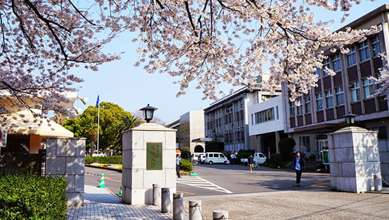 해외 대학 이미지 548